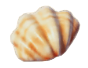 크로세아 클램